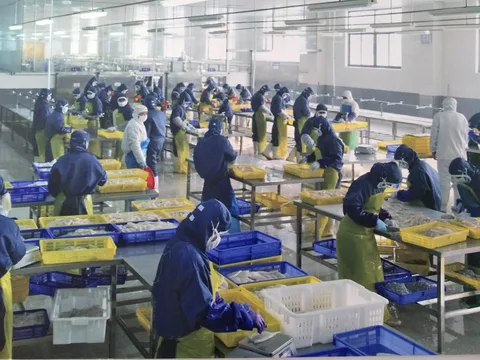 Processing floor at the plant, Shishi, Fujian