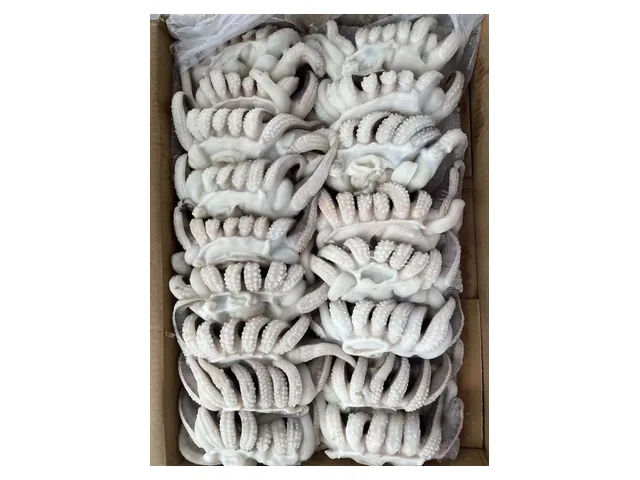 Cuttlefish heads — 墨鱼头