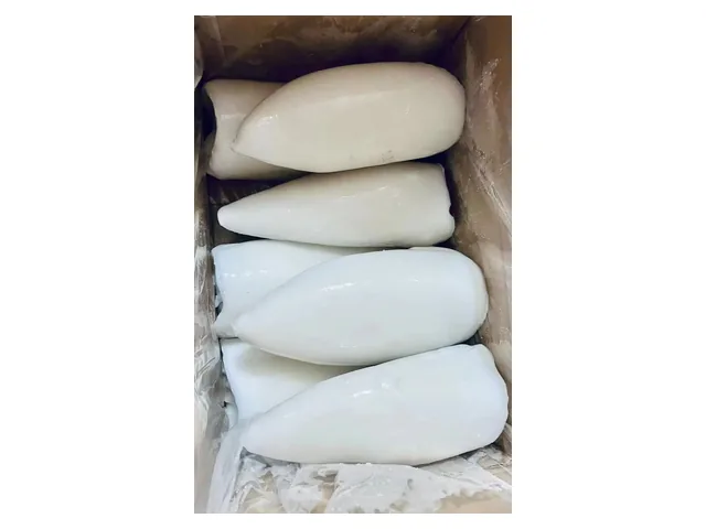Cuttlefish tubes — 墨鱼筒